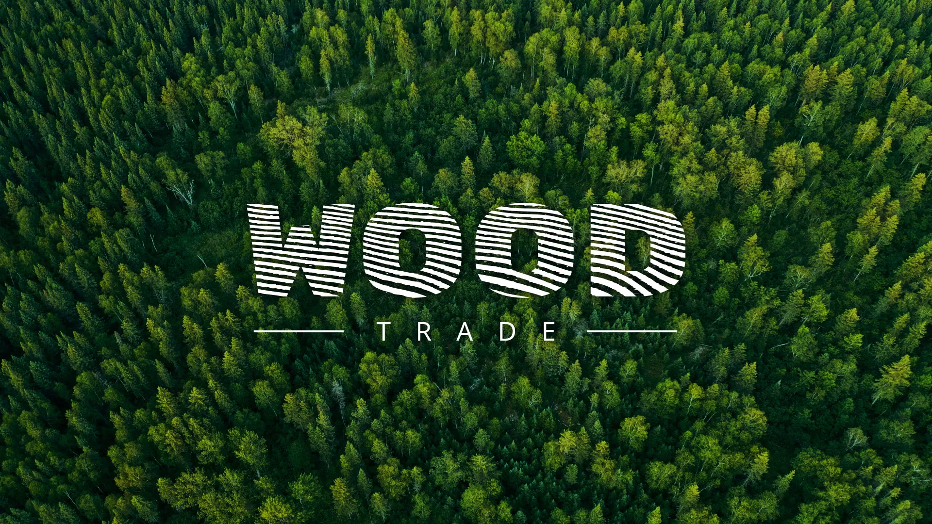Разработка интернет-магазина компании «Wood Trade» в Сызрани
